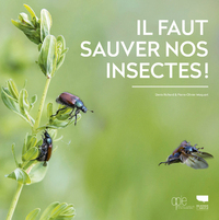 Picture of Il faut sauver nos insectes