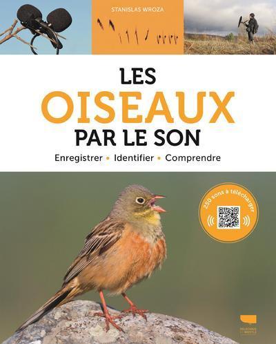 Image de Les Oiseaux par le son