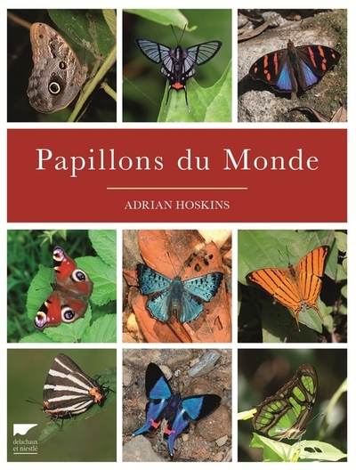 Picture of Papillons du monde