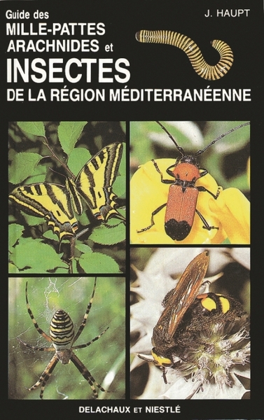 Image de Guide des mille-pattes, arachnides et insectes de la région méditerranéenne