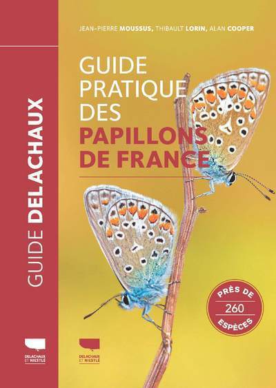 Image de Guide pratique des papillons de France