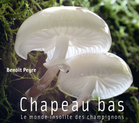 Picture of CHAPEAU BAS, le monde insolite des champignons