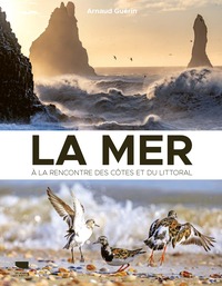 Image de La Mer