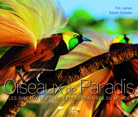 Image de Oiseaux de Paradis