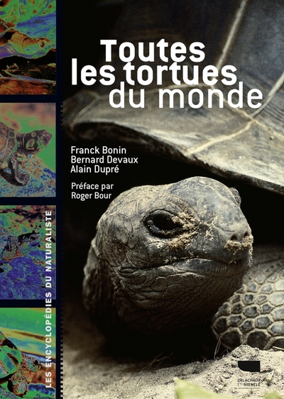 Image de Toutes les tortues du monde