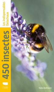 Image de 450 insectes