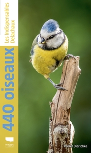 Image de 440 oiseaux