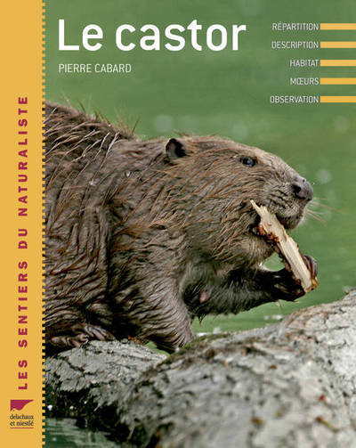 Image de Le Castor
