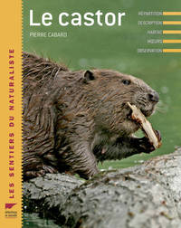 Image de Le Castor