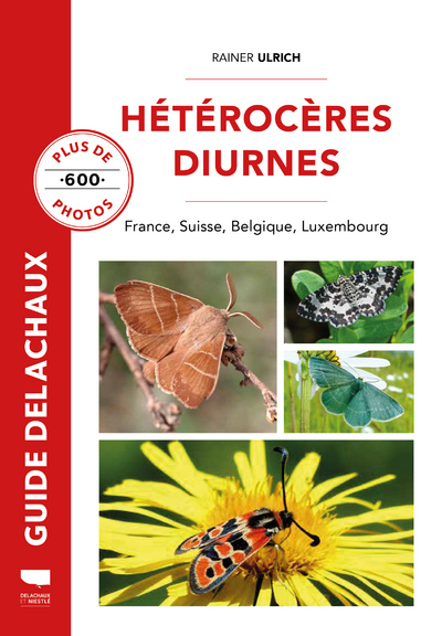 Image de Hétérocères diurnes
