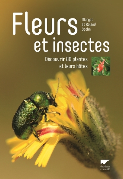 Picture of Fleurs et insectes