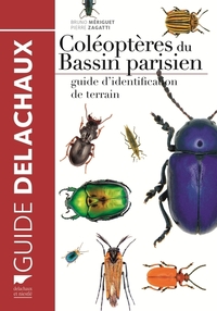 Image de Coléoptères du bassin parisien