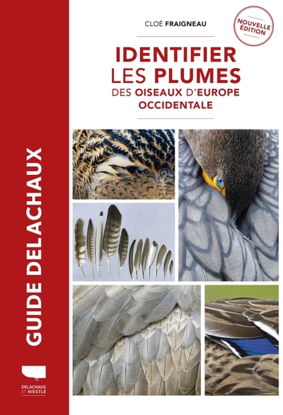 Image de Identifier les plumes des oiseaux d Europe occidentale