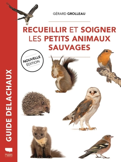 Image de Recueillir et soigner les petits animaux sauvages