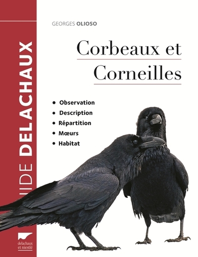 Image de Corbeaux et corneilles