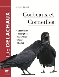 Image de Corbeaux et corneilles