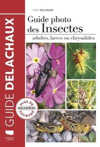 Image de Guide photo des insectes