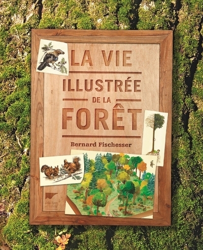 Picture of La Vie illustrée de la forêt