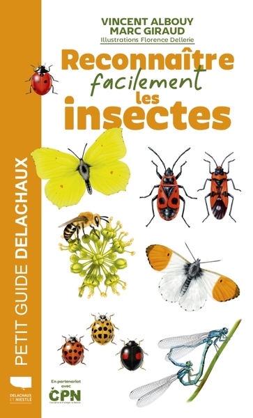 Image de Reconnaître facilement les insectes