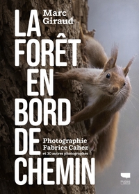 Image de La Forêt en bord de chemin