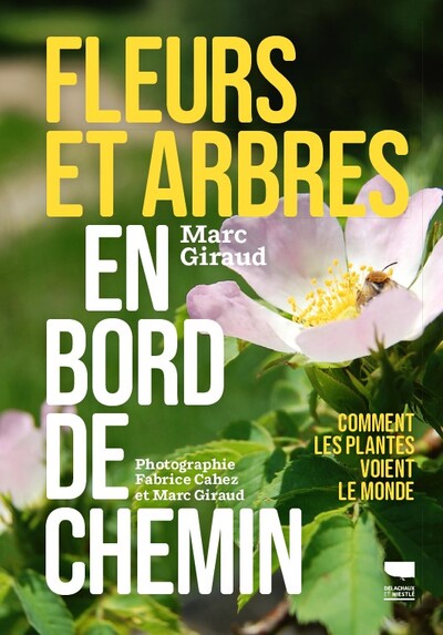 Picture of Fleurs et arbres en bord de chemin
