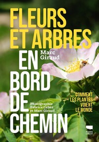 Picture of Fleurs et arbres en bord de chemin