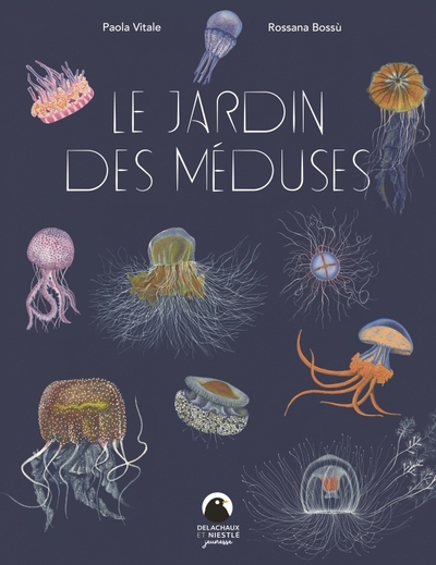 Image de Jardin des méduses