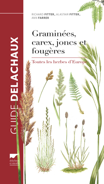 Picture of Graminées, carex, joncs et fougères