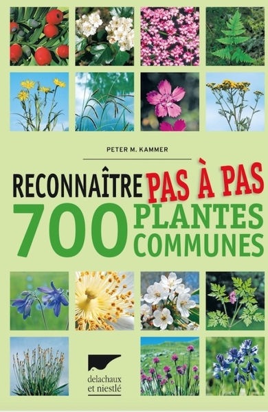 Picture of Reconnaître pas à pas 700 plantes communes