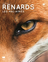 Image de Renards