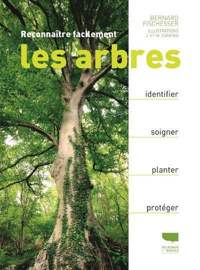 Image de Reconnaître facilement les arbres
