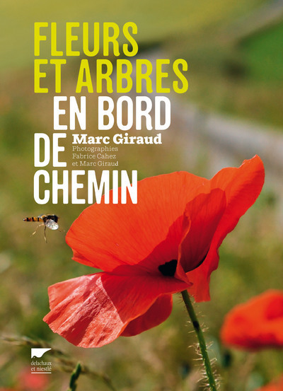 Picture of Fleurs et arbres en bord de chemin
