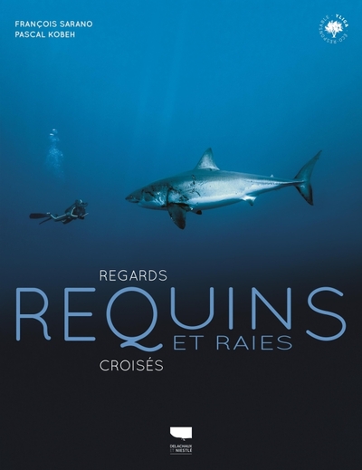 Image de Requins et raies