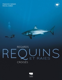 Image de Requins et raies