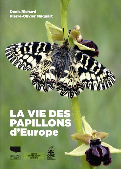 Image de La Vie des papillons d'Europe