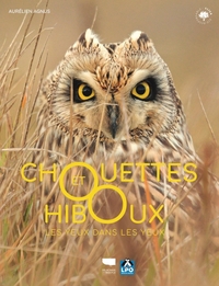 Image de Chouettes et hiboux