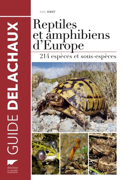 Image de Reptiles et amphibiens d'Europe