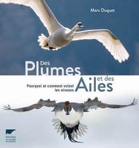 Image de Des plumes et des ailes