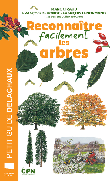 Image de Reconnaître facilement les arbres