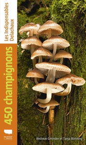 Image de 450 champignons
