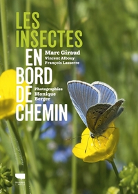 Picture of Les Insectes en bord de chemin