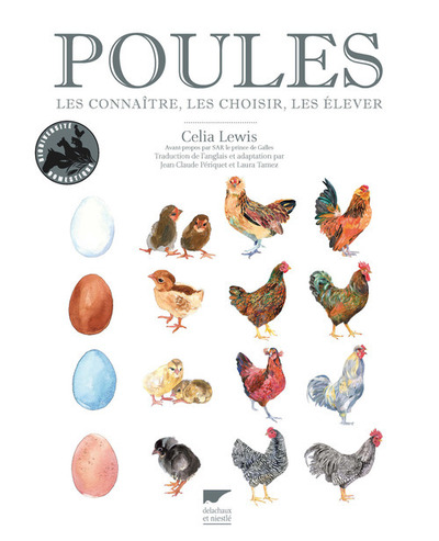 Image de Poules