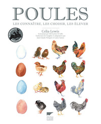 Image de Poules