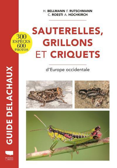 Image de Sauterelles, grillons et criquets d'Europe occidentale