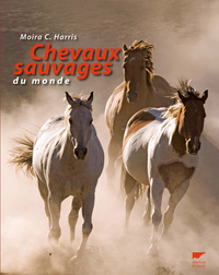 Image de Chevaux sauvages du monde