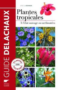 Picture of Plantes tropicales
