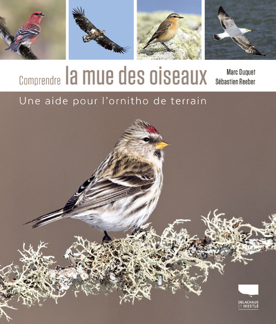 Picture of Comprendre la mue des oiseaux
