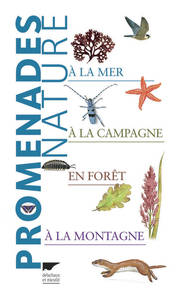 Picture of Promenades nature