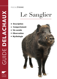 Image de Le Sanglier