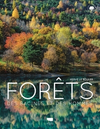 Picture of Forêts